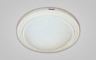 ceiling ss light